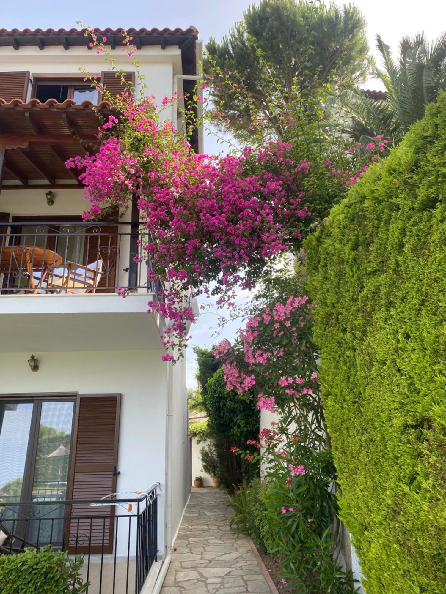 Villa Xanthippi Agia Paraskevi  Exterior photo